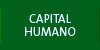 Capital humano